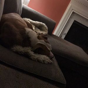 Meet your Posher, Trevor